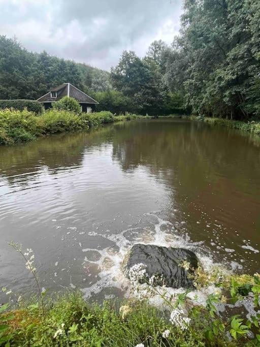 Maison En Pierre, Chaleureuse, Avec Etang Casa de Férias *