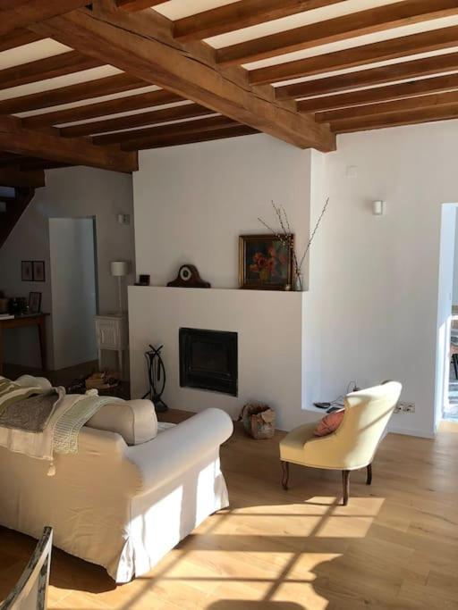 Maison En Pierre, Chaleureuse, Avec Etang * Havelange